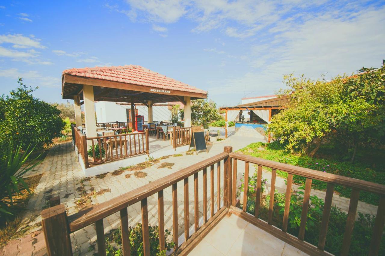 Castle Karpasia Guest House Authentic Atmosphere ! Rizokarpaso Exterior photo